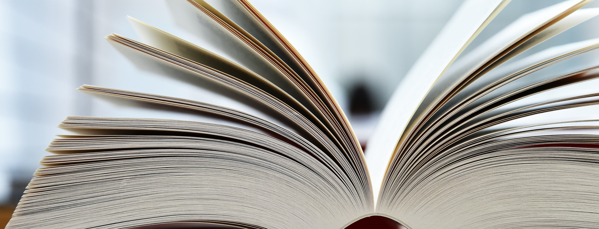 close-up of an open book